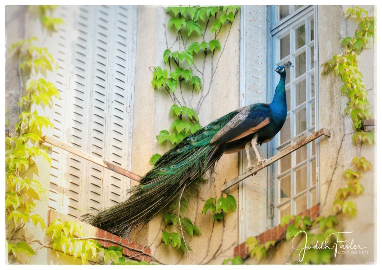 Bed and Breakfast Le Relais Du Doubs En Bourgogne Ciel Exterior foto